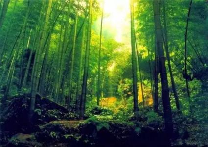 竹怜新雨后,山爱夕阳时。