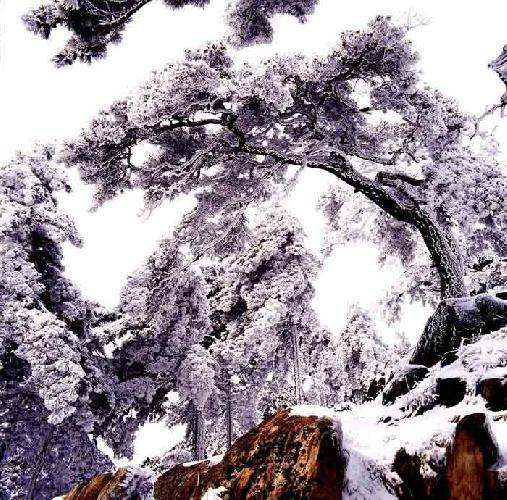 终南阴岭秀,积雪浮云端。林表明霁色,城中增暮寒。