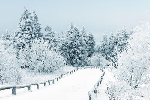 终南阴岭秀,积雪浮云端。